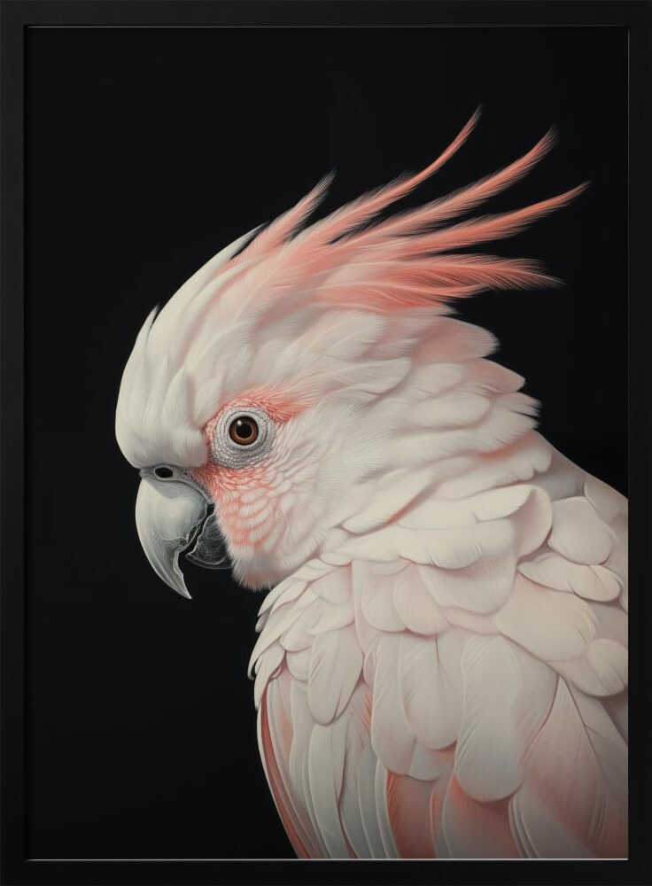 White Cockatoo No 2 Poster