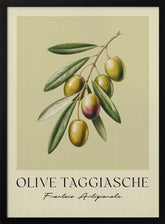 Olive Taggiasche Poster