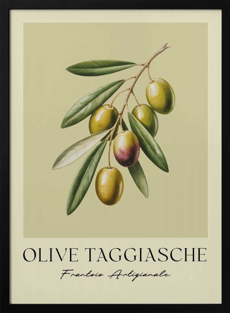 Olive Taggiasche Poster