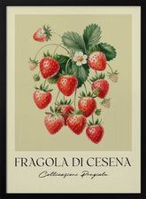 Fragola Di Cesena Poster