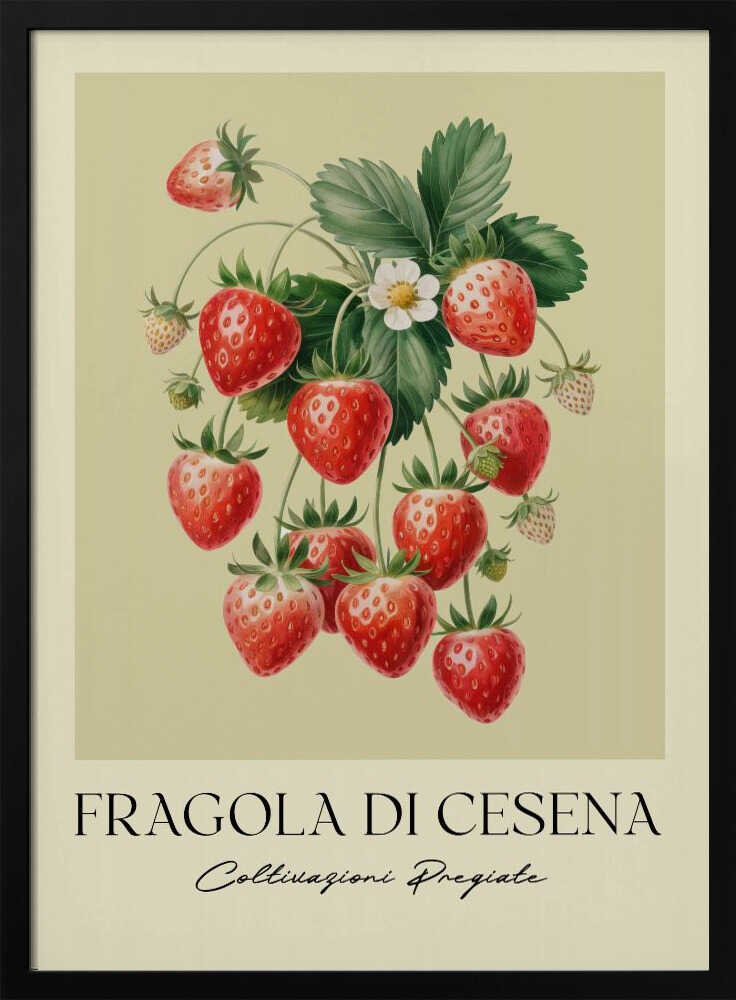 Fragola Di Cesena Poster
