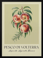 Pesco Di Volterra Poster
