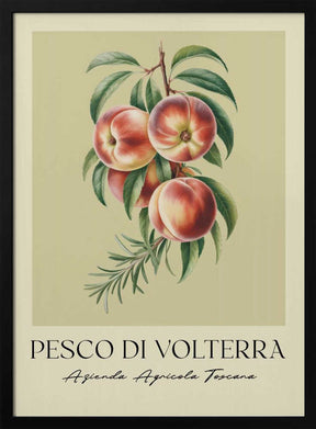 Pesco Di Volterra Poster