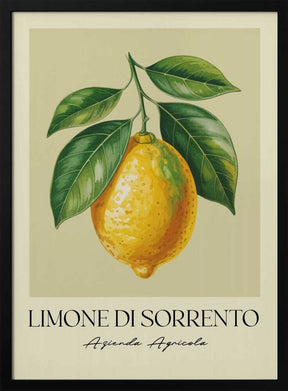 Limone Di Sorrento Poster