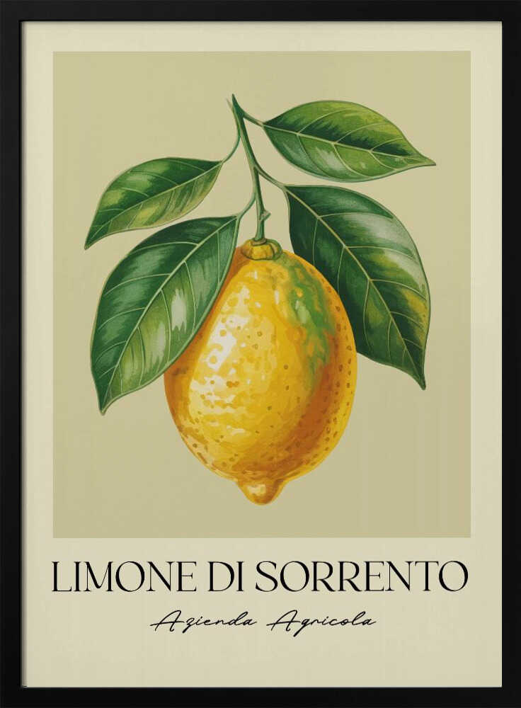 Limone Di Sorrento Poster