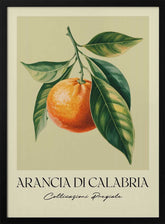 Arancia Di Calabria Poster