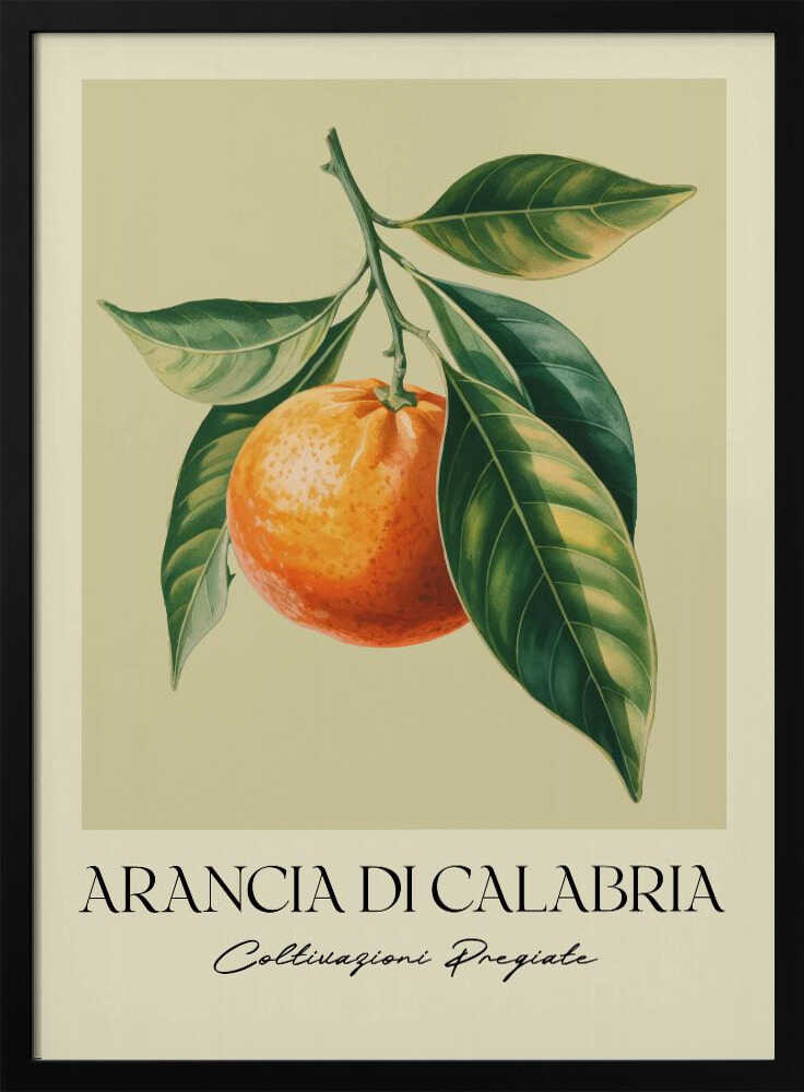 Arancia Di Calabria Poster