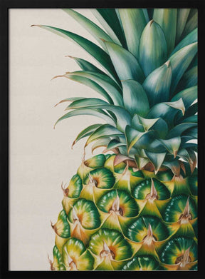 Pineapple Close Up Poster