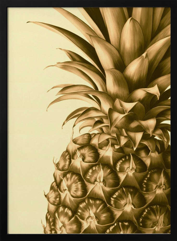 Pineapple Close Up Poster