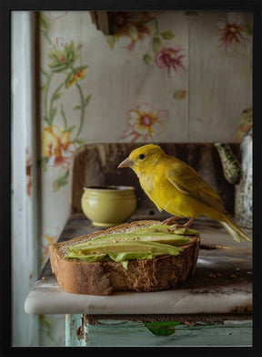 Avocado Breakfast Poster