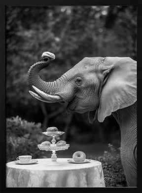 Elephant’s Afternoon Tea Poster