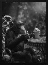 Chimp’s Ice Cream Break Poster