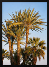 Nice France V on Film Poster