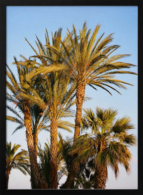 Nice France V on Film Poster