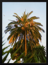 Nice France XII on Film Poster