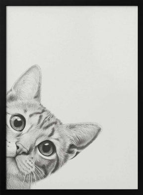 Curious Cat Poster