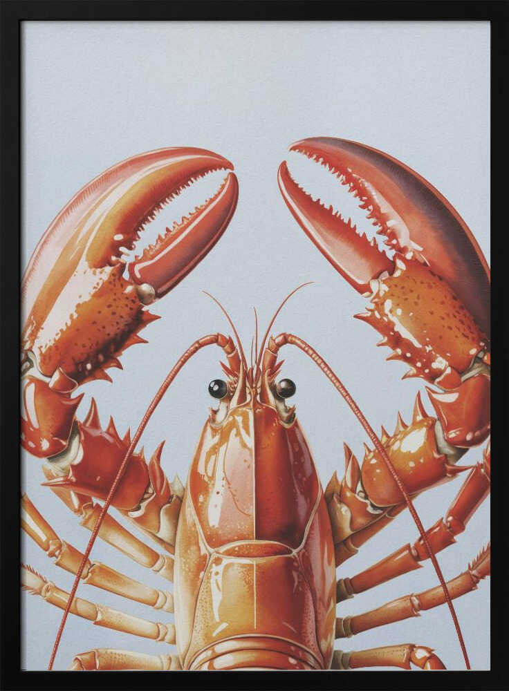 The Lobster Poster