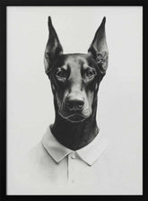 Doberman In Polo Shirt Poster