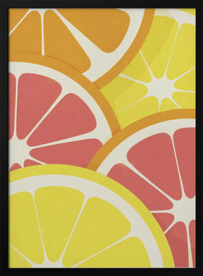 Citrus Slices Poster