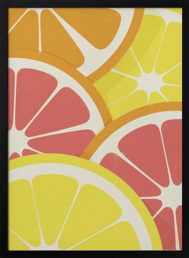 Citrus Slices Poster