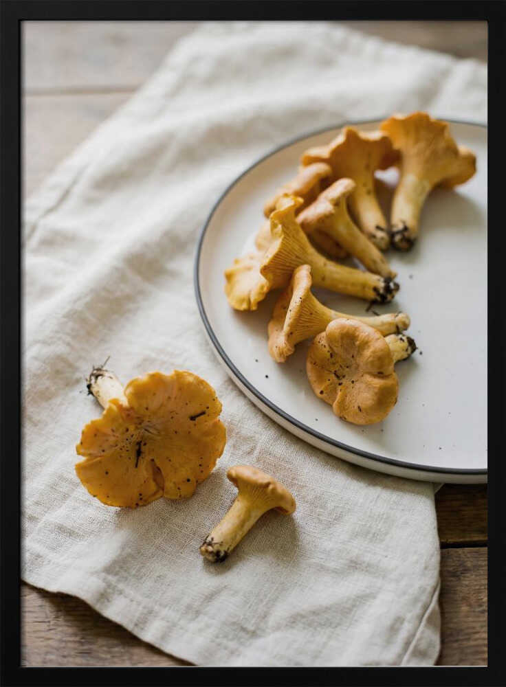 Chanterelle Mushrooms Poster