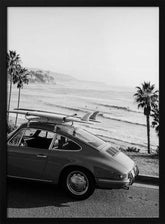 Posh Surfer Poster