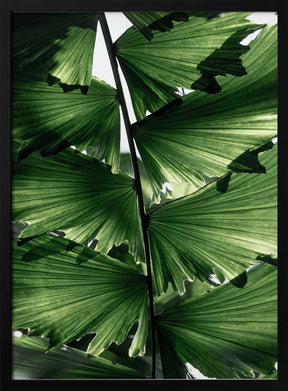 Tropical Green Palm Glow – art print by Mareike Böhmer