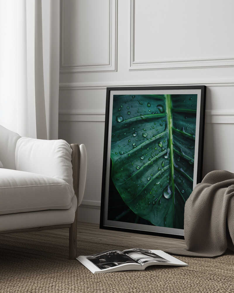 Rain Kissed Leaf Poster