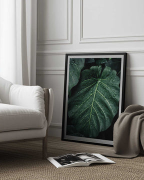 Rain Kissed Leaves Poster