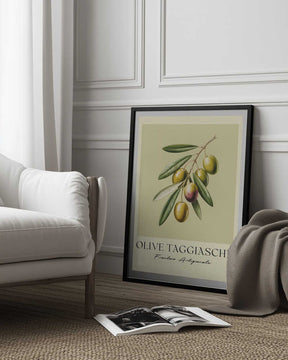 Olive Taggiasche Poster
