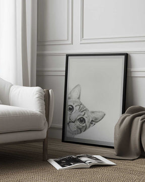 Curious Cat Poster