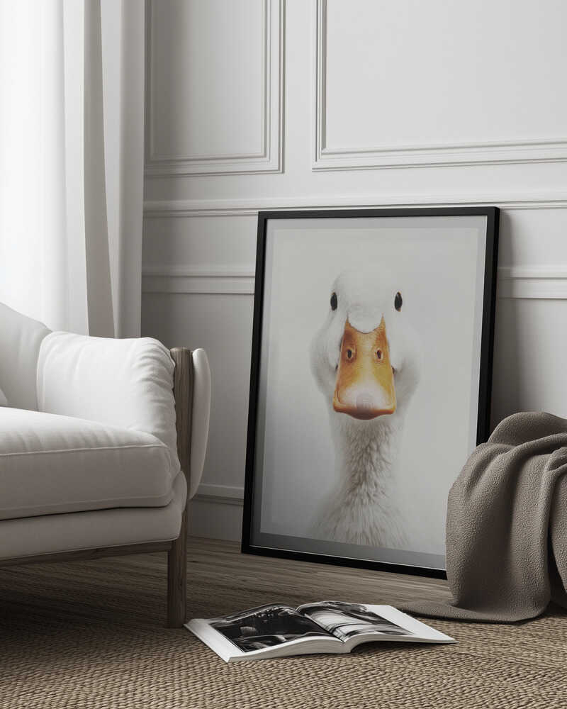 The White Duck Poster