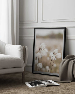 Cotton Grass - Eriophorum Poster
