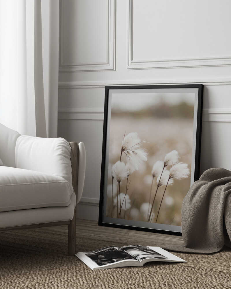 Cotton Grass - Eriophorum Poster