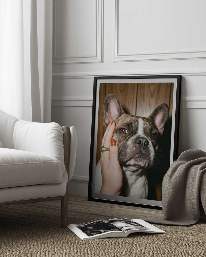 Petting a Frenchie Poster