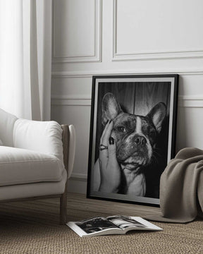 Petting a Frenchie Poster