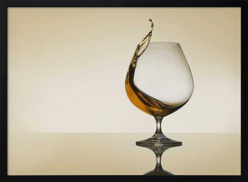 Splash Curves Poster