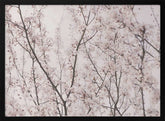 Spring blossoms Poster