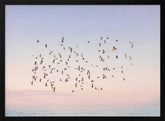 Sunset Flight Poster