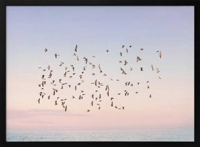 Sunset Flight Poster