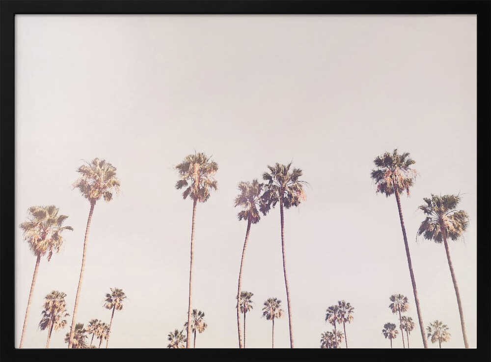 Sunny Cali Palm Trees Poster