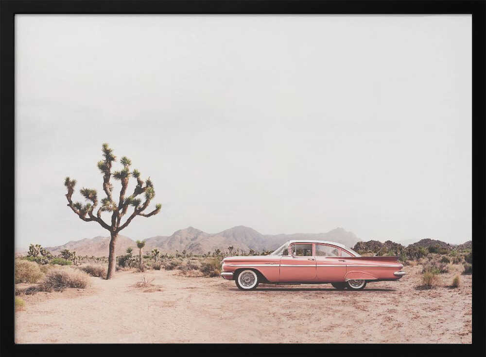 In the desert Poster