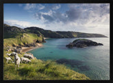 Irish Coast Poster