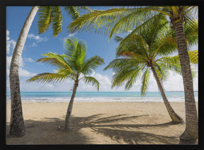 Palmy Beach II Poster