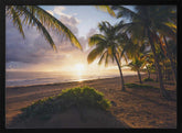 Good Morning Paradise Poster