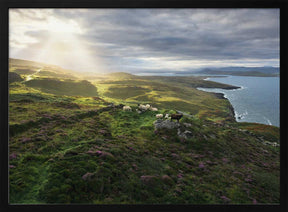 Good Morning Ireland Poster