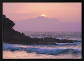 Purple Morning Poster