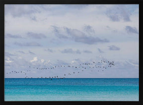 Birds at the sea Poster