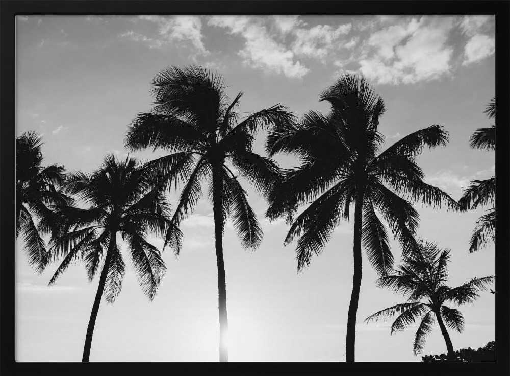 Hawaiian Palms II Poster