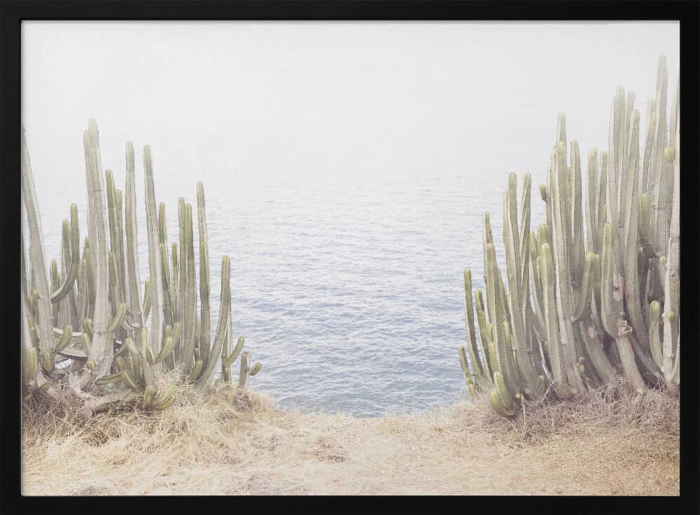 Ocean Cactus Poster
